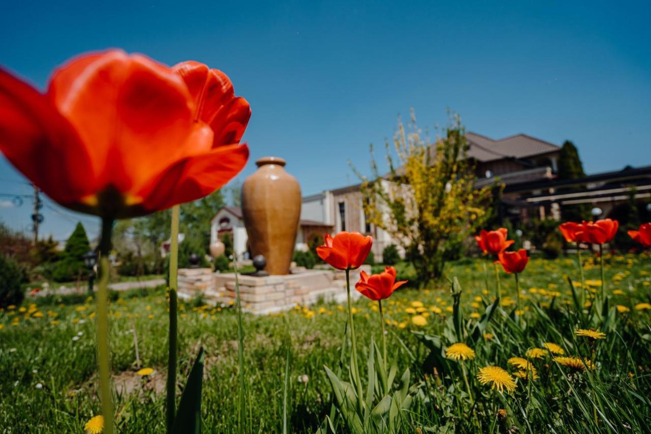 Pensiunea Eden Agapia Exteriér fotografie